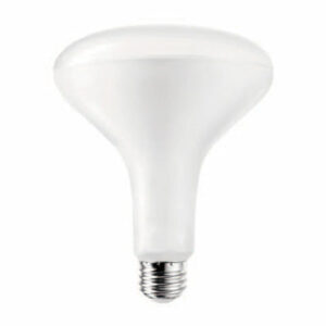 LED BR40 Bulb – 8-15W